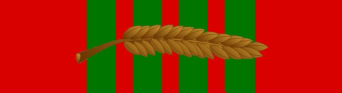 French Croix de Guerre with Palms